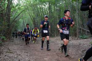 BIB: 3181, 2322
                            <button type="button" onclick="openModal(4350904)" class="btn btn-primary btn-sm float-right btn-popup" data-toggle="modal" data-target=".modal-high-quality">
                        <i class="fas fa-shopping-cart"></i> Add to Cart
                    </button>
                                            <button type="button" onclick="isThisMe(4350904, true)" class="btn btn-success btn-sm float-right btn-popup btn-isme hidden" data-toggle="tooltip" data-placement="bottom" title="นี่คือรูปของคุณใช่ไหม คลิกที่นี่เพื่อเอาเข้าอัลบั้ม">
                        <i class="fas fa-plus"></i> Add to album
                    </button>
                    <button type="button" onclick="isThisMe(4350904, false)" class="btn btn-warning btn-sm float-right btn-popup btn-isnotme hidden">
                        <i class="fas fa-ban"></i> Remove from album
                    </button>